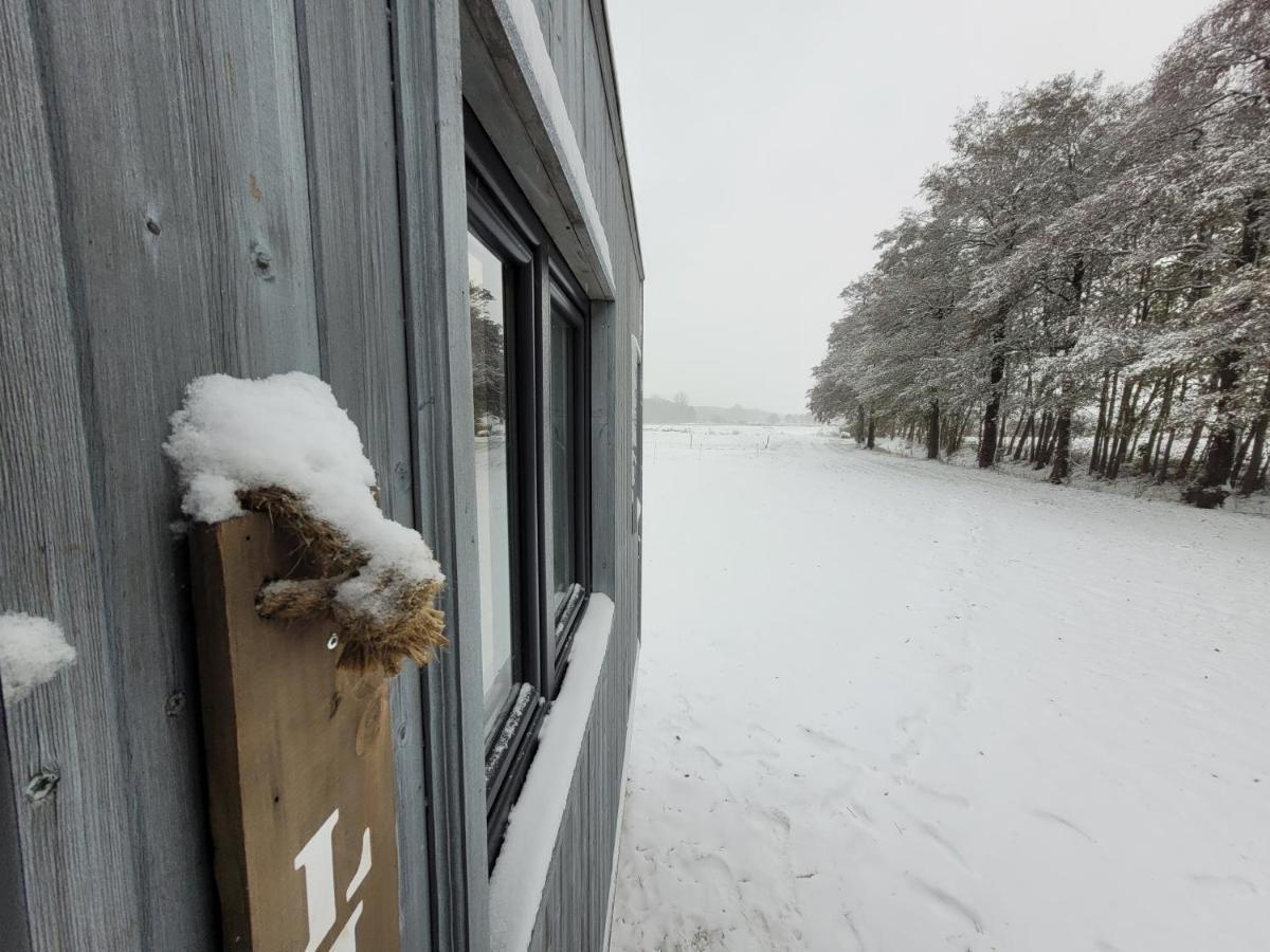 Neu Luxurioeses Tinyhaus Freyr Einmalig In Apartment *